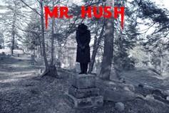 Mr Hush Image